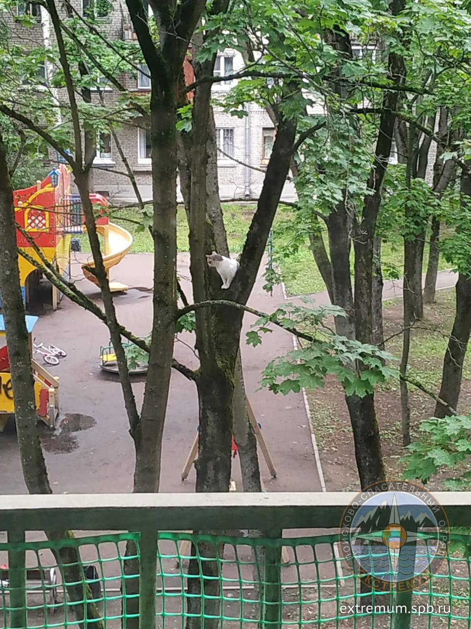 WhatsApp Image 2020-07-10 at 19.29.29.jpeg