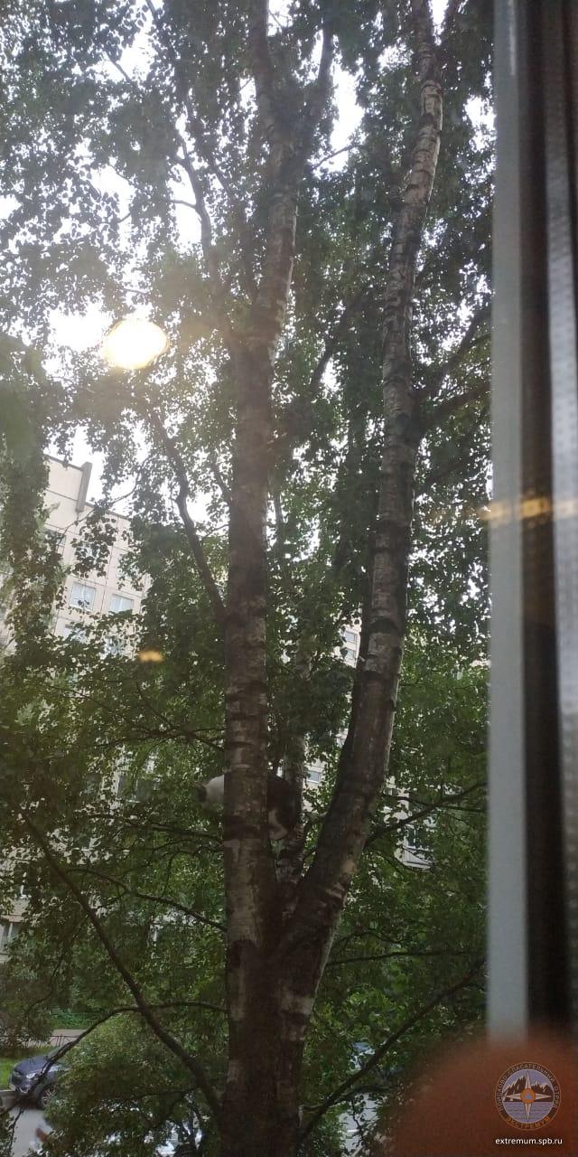 WhatsApp Image 2020-07-11 at 18.22.50.jpeg