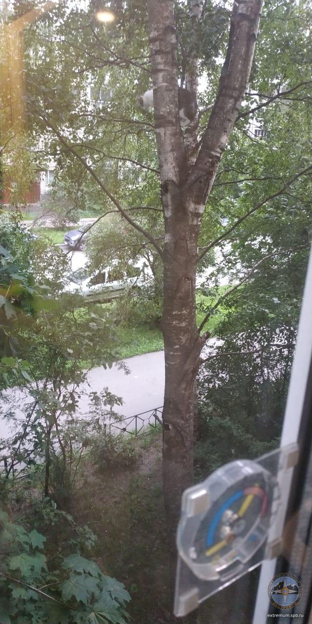 WhatsApp Image 2020-07-11 at 18.22.36.jpeg