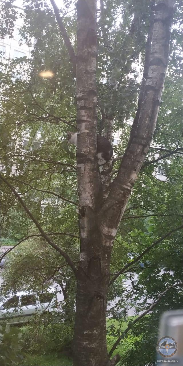 WhatsApp Image 2020-07-11 at 18.22.24.jpeg