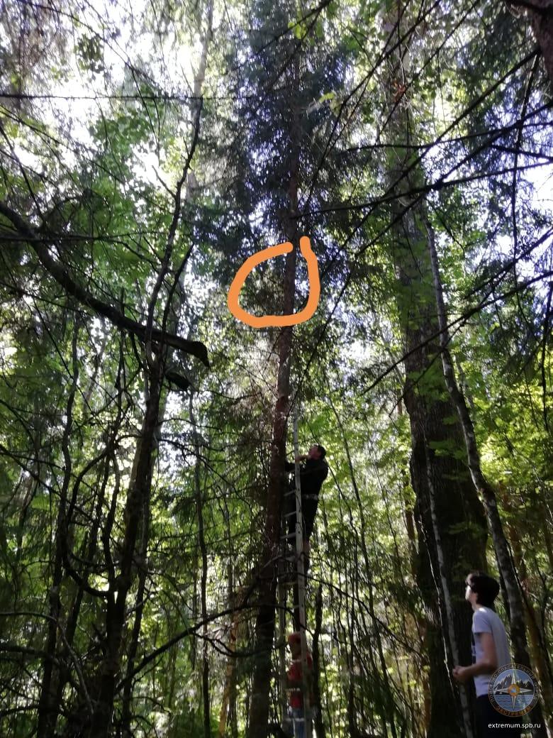 WhatsApp Image 2020-07-17 at 10.48.42.jpeg