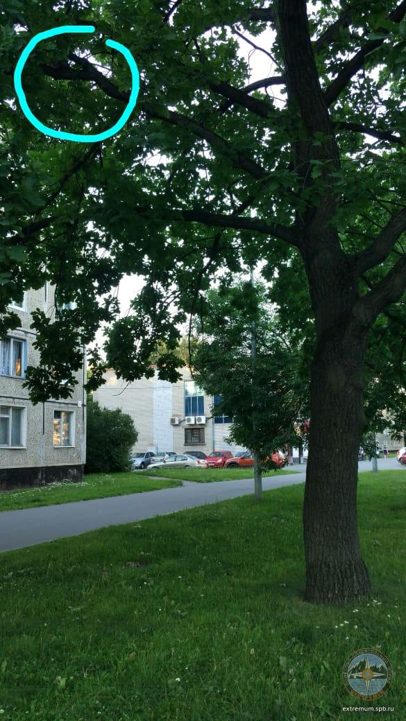 WhatsApp Image 2020-07-17 at 20.58.33.jpeg