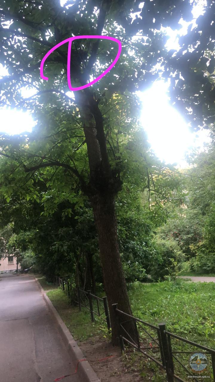 WhatsApp Image 2020-07-17 at 21.30.20.jpeg