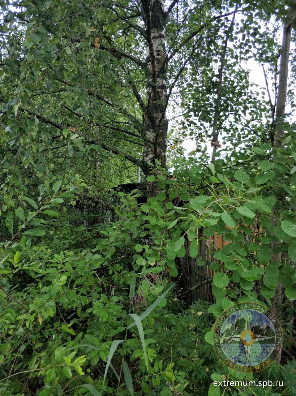 WhatsApp Image 2020-07-22 at 16.00.13 (1).jpeg