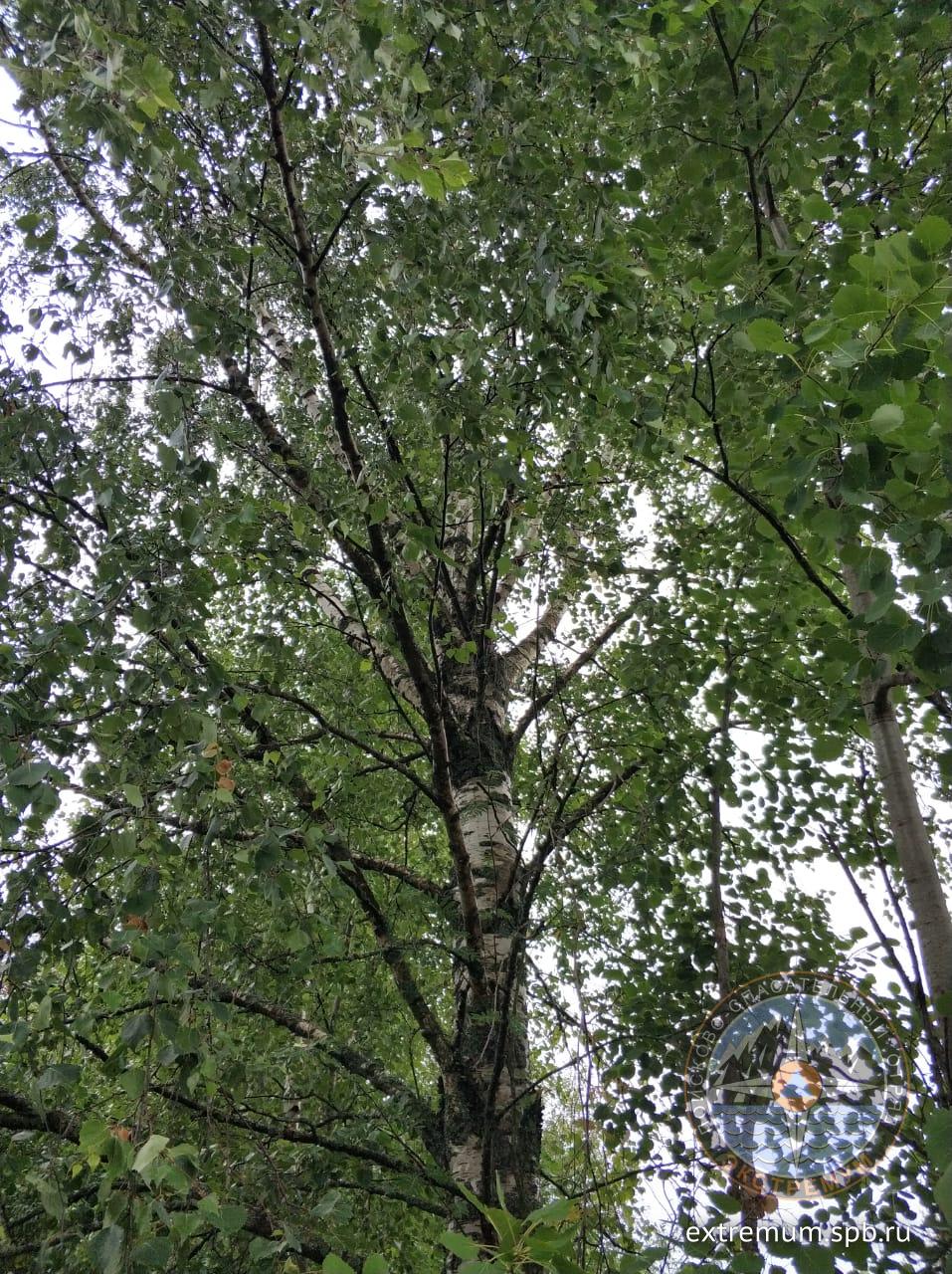 WhatsApp Image 2020-07-22 at 16.00.13.jpeg