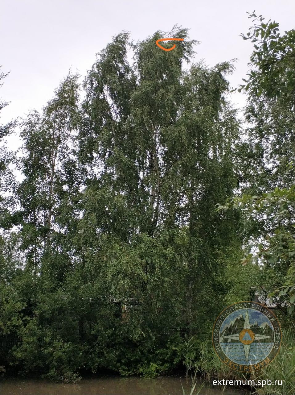 WhatsApp Image 2020-07-22 at 15.59.46.jpeg