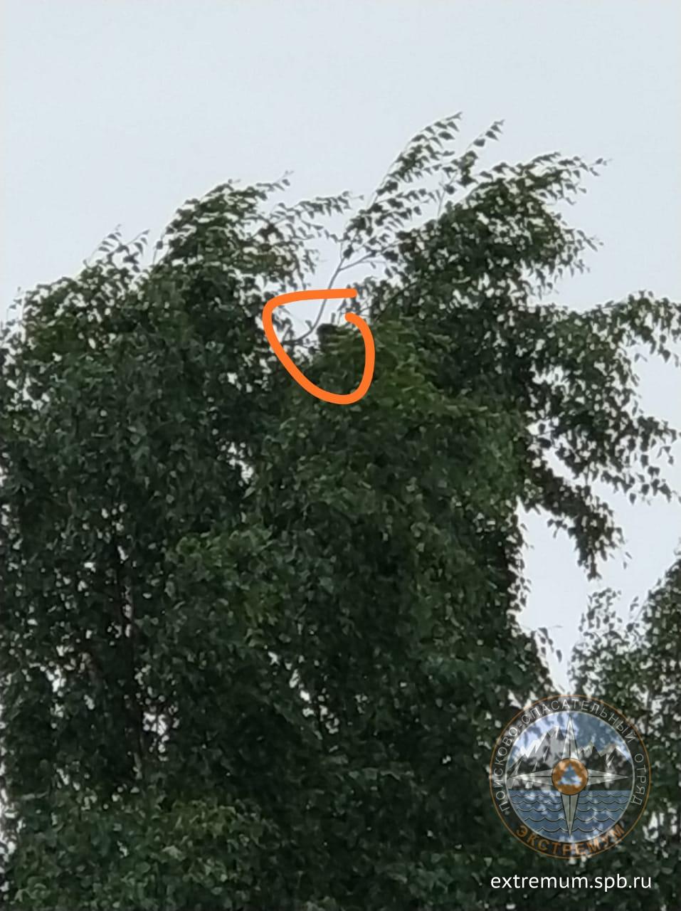 WhatsApp Image 2020-07-22 at 15.59.45.jpeg