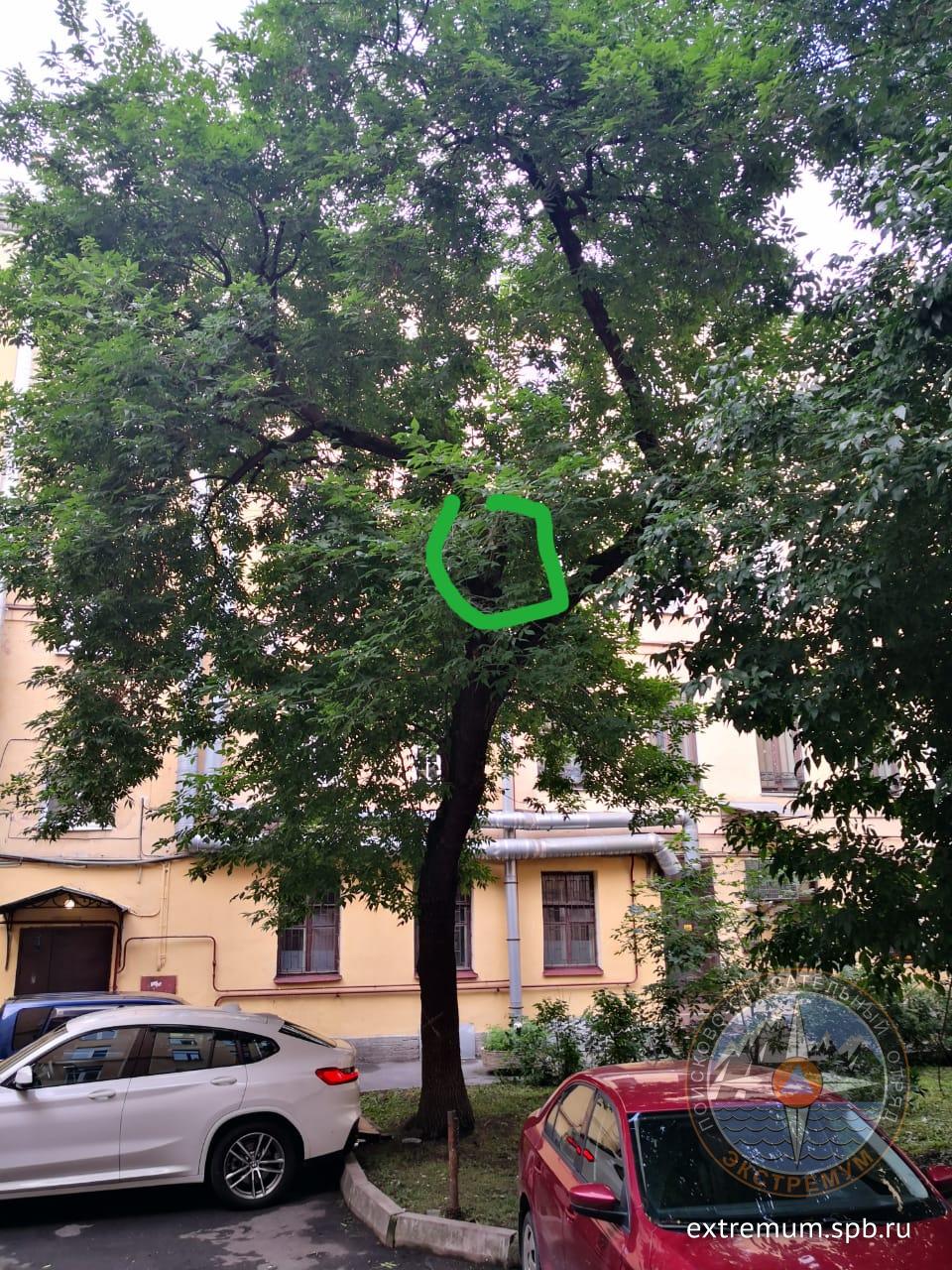 WhatsApp Image 2020-07-22 at 19.03.59 (1).jpeg