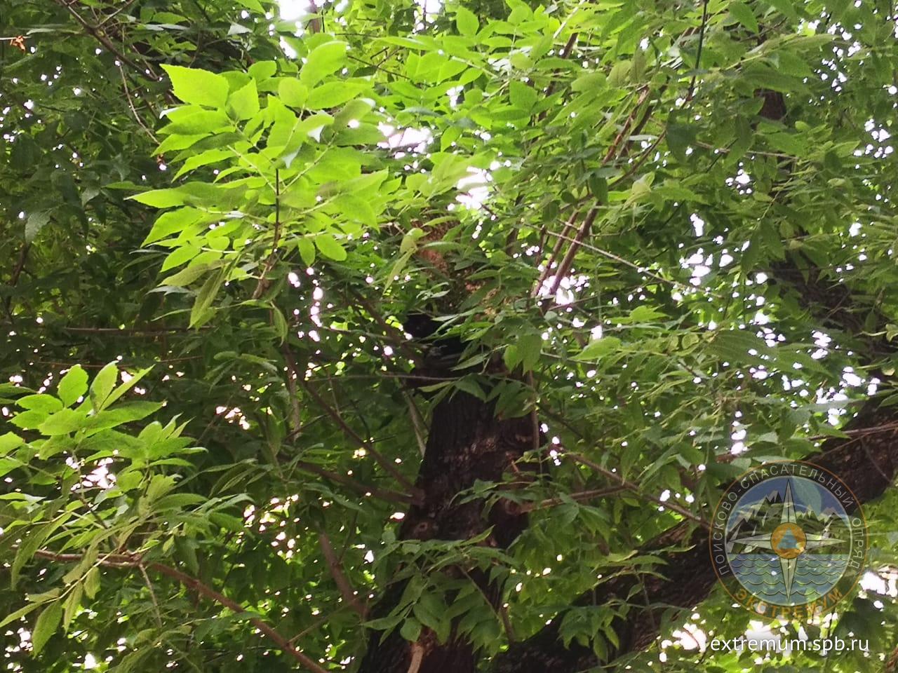 WhatsApp Image 2020-07-22 at 19.03.59.jpeg