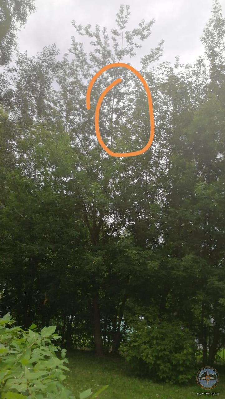 WhatsApp Image 2020-07-24 at 19.34.47.jpeg