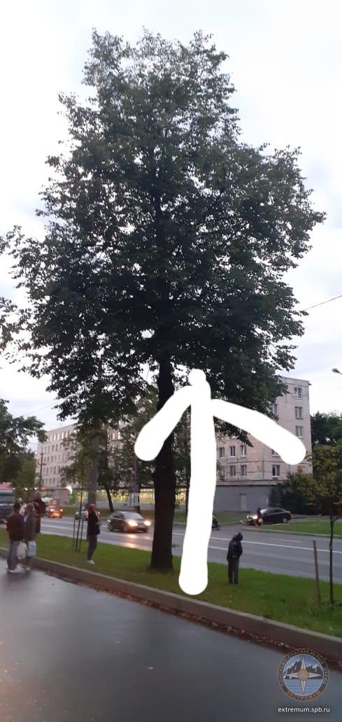 WhatsApp Image 2020-07-24 at 22.06.39.jpeg