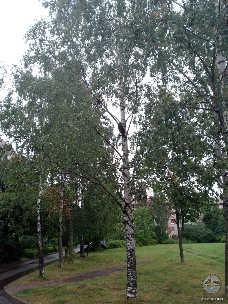 WhatsApp Image 2020-07-25 at 12.44.01.jpeg