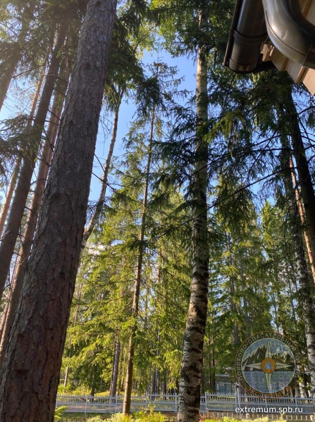 Screenshot_20200728-053509_Samsung Internet.jpg