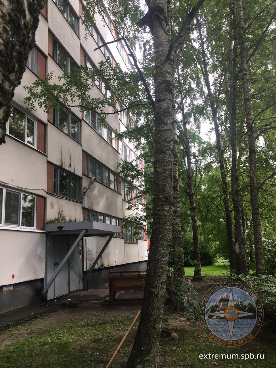 WhatsApp Image 2020-07-30 at 17.00.56.jpeg