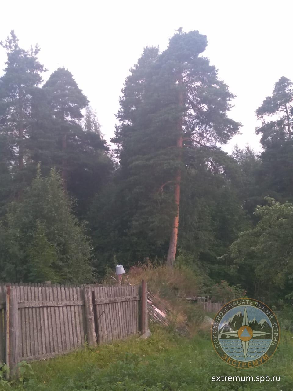 WhatsApp Image 2020-07-30 at 20.56.22.jpeg