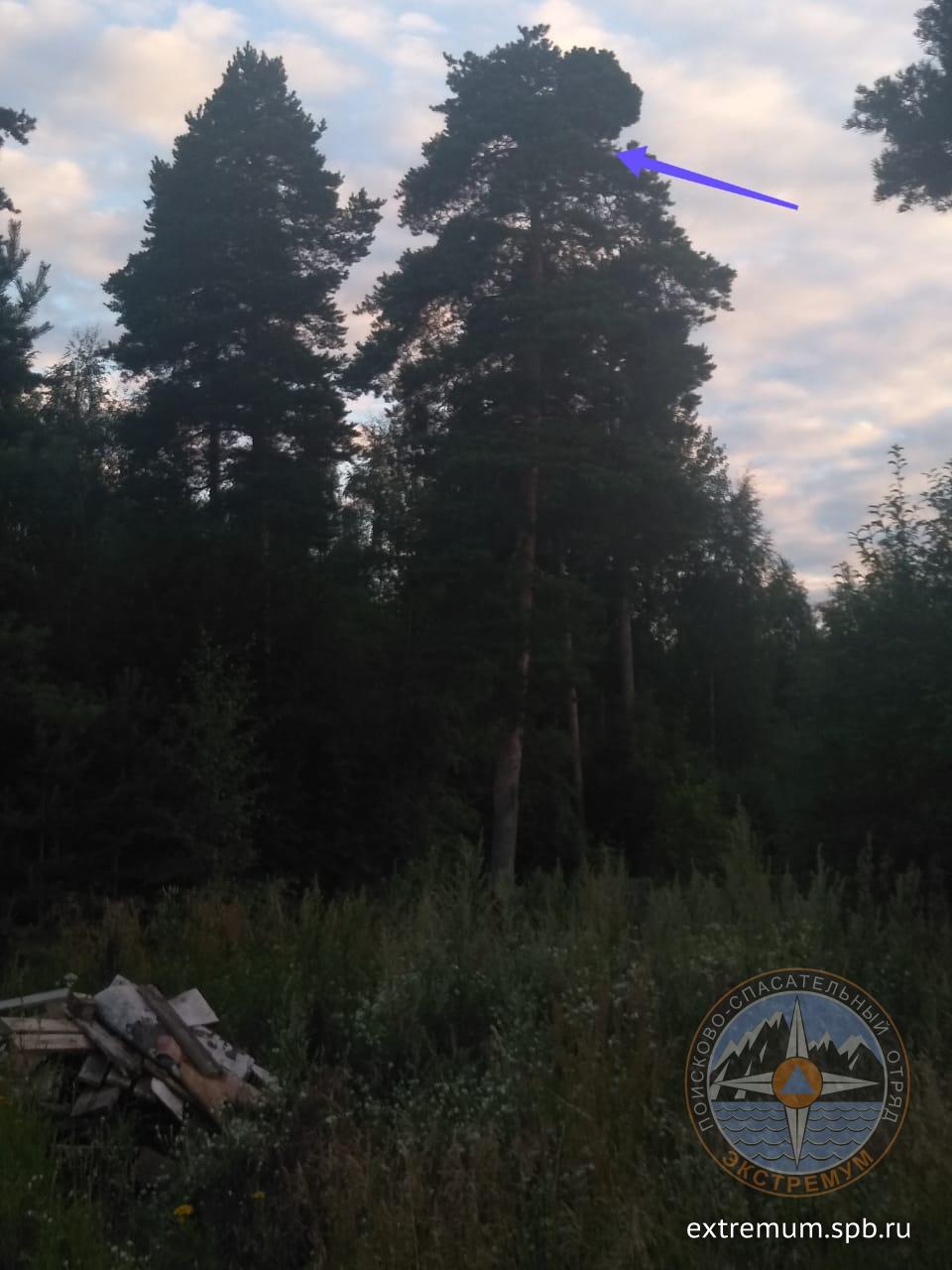 WhatsApp Image 2020-07-30 at 21.54.09.jpeg