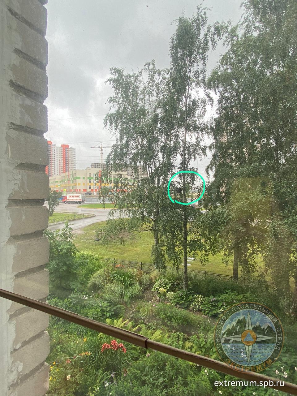 WhatsApp Image 2020-07-31 at 12.04.50 (1).jpeg