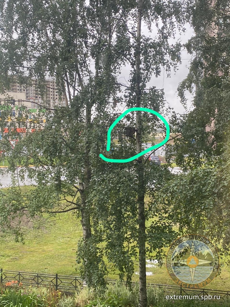 WhatsApp Image 2020-07-31 at 12.04.50.jpeg