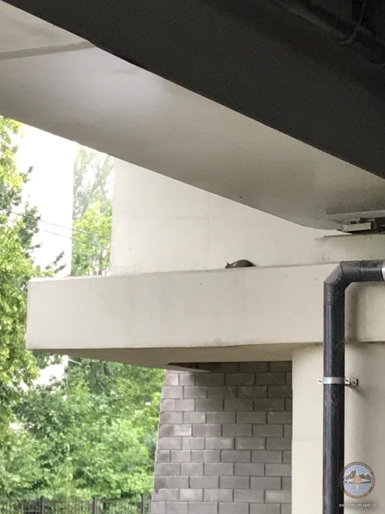 WhatsApp Image 2020-07-31 at 13.58.34.jpeg