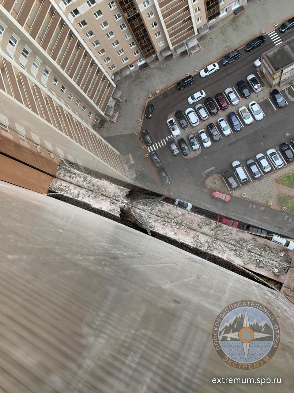 WhatsApp Image 2020-08-05 at 11.42.46.jpeg