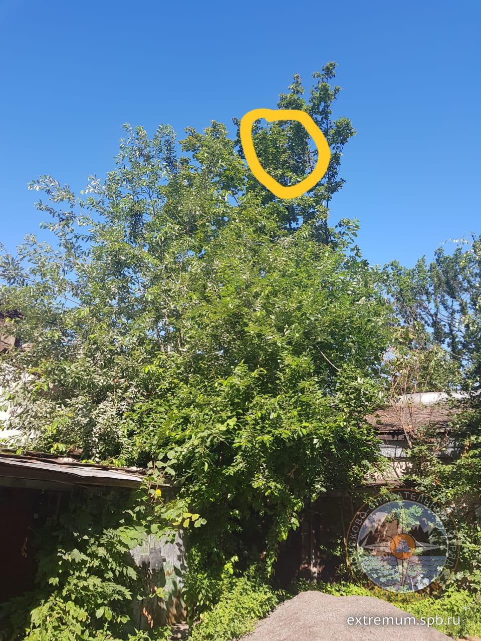 WhatsApp Image 2020-08-06 at 17.27.27.jpeg