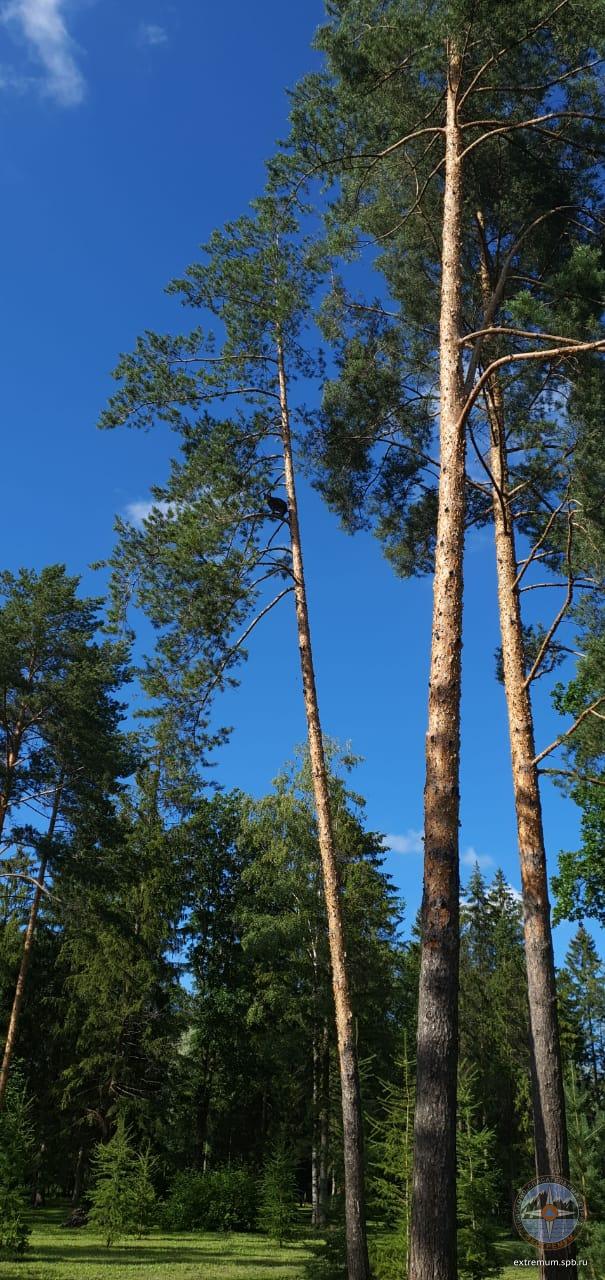 WhatsApp Image 2020-08-07 at 16.20.56.jpeg