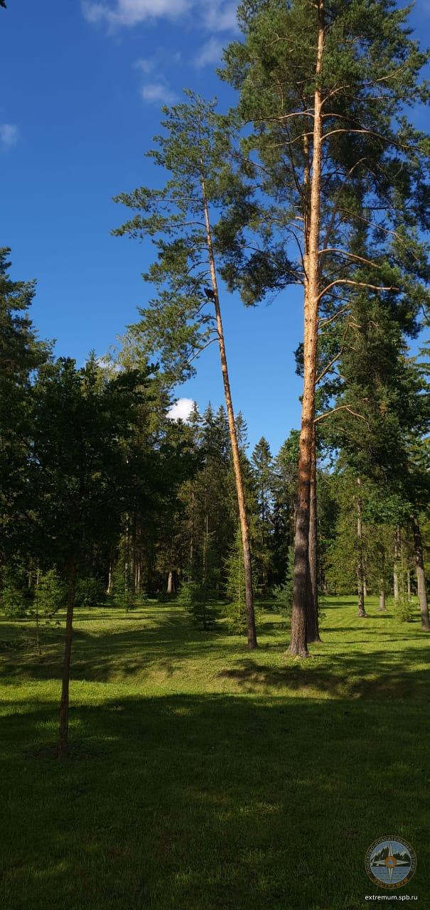 WhatsApp Image 2020-08-07 at 16.20.37.jpeg