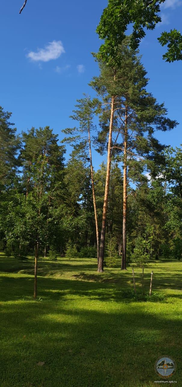 WhatsApp Image 2020-08-07 at 16.20.25.jpeg