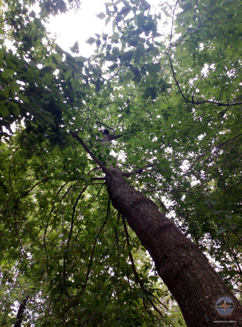 WhatsApp Image 2020-08-12 at 16.39.18.jpeg