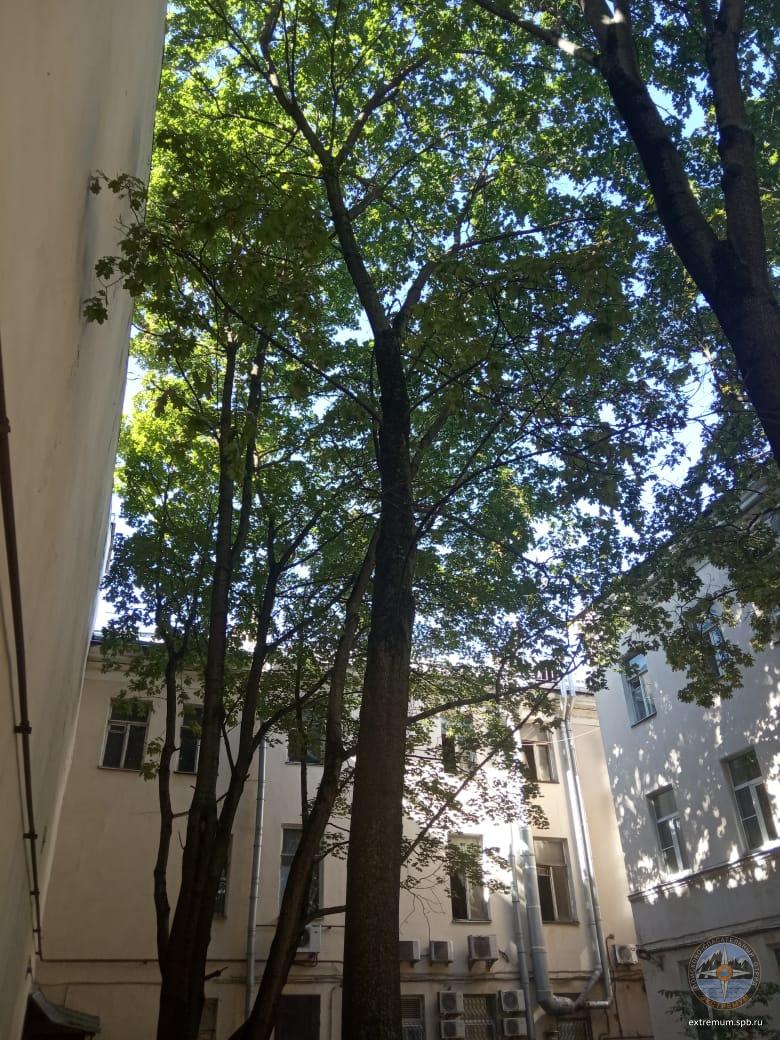 1 линия ВО.jpg