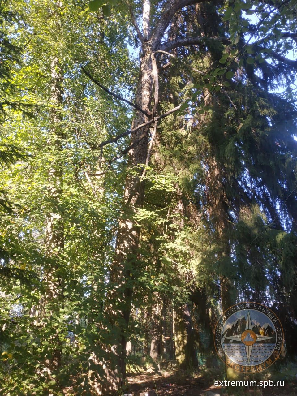 WhatsApp Image 2020-08-21 at 17.46.10.jpeg