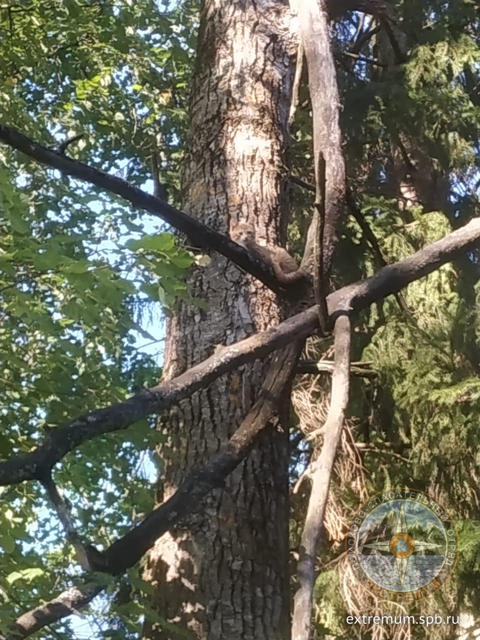 WhatsApp Image 2020-08-21 at 17.46.10 (1).jpeg