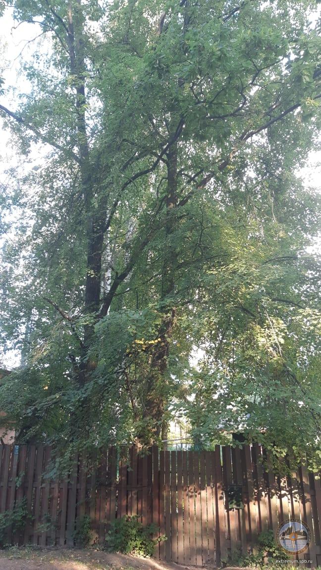 WhatsApp Image 2020-08-21 at 18.13.42.jpeg