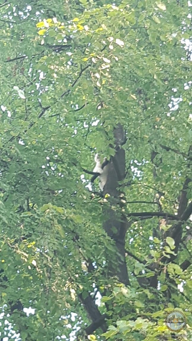 WhatsApp Image 2020-08-21 at 18.13.16.jpeg