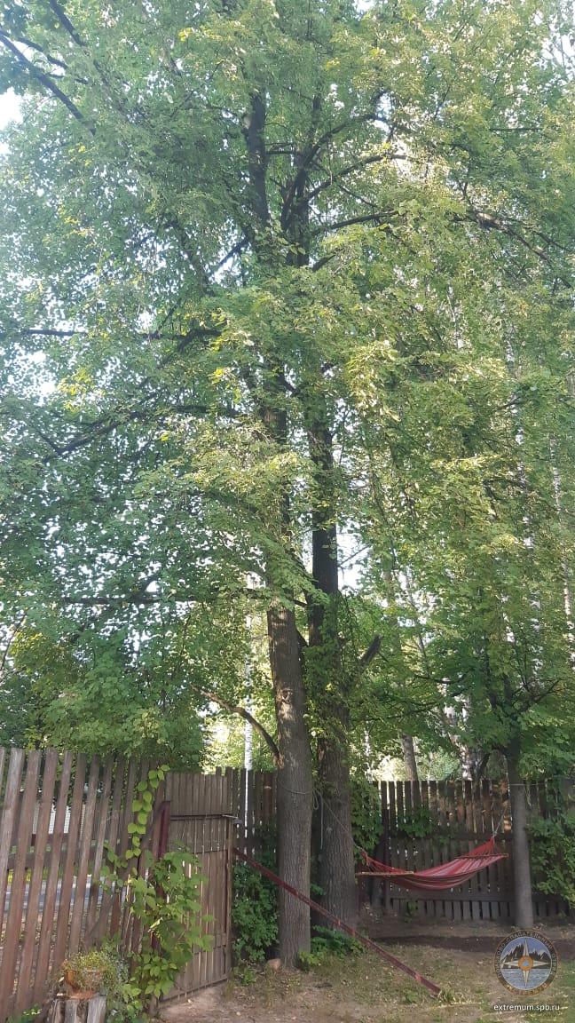 WhatsApp Image 2020-08-21 at 18.12.57.jpeg