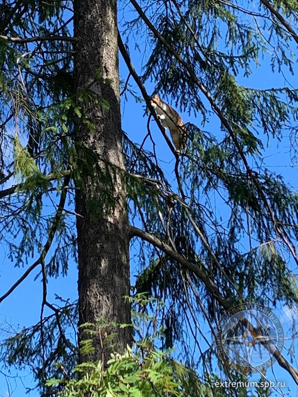 WhatsApp Image 2020-08-26 at 11.44.52.jpeg