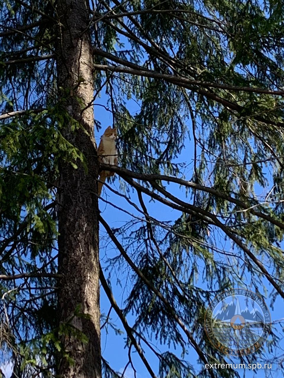 WhatsApp Image 2020-08-26 at 11.44.51.jpeg