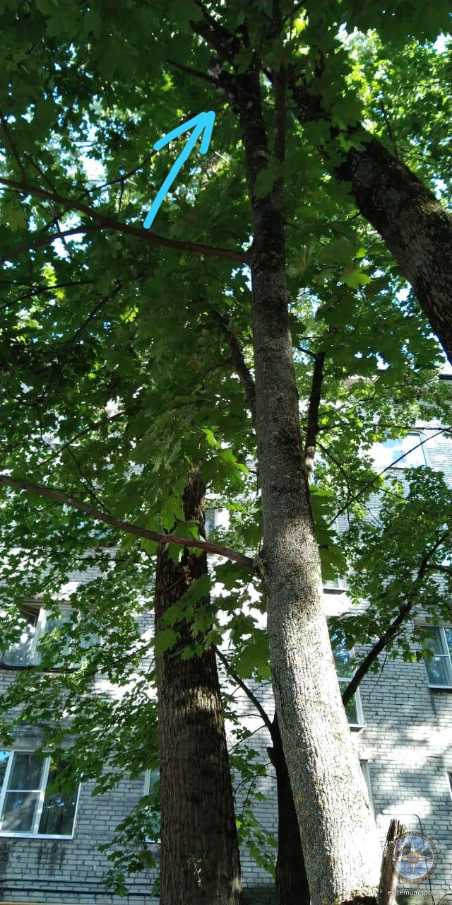 WhatsApp Image 2020-08-26 at 16.03.14.jpeg