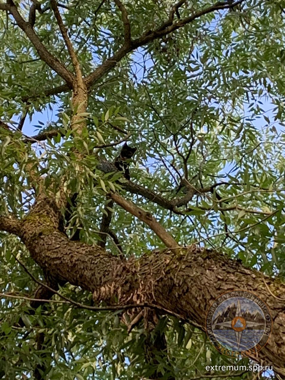 WhatsApp Image 2020-08-26 at 18.45.35.jpeg