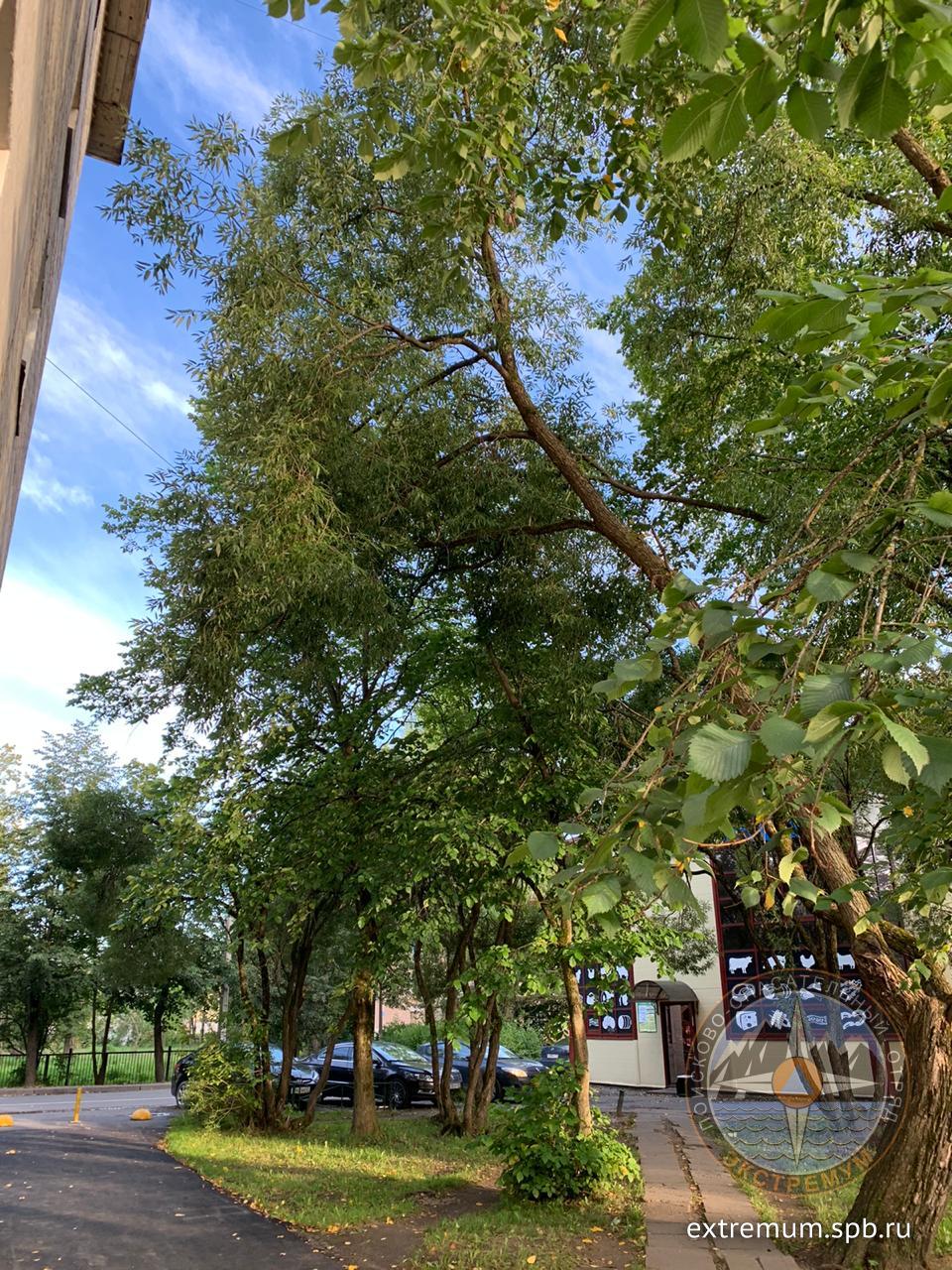 WhatsApp Image 2020-08-26 at 18.45.34.jpeg