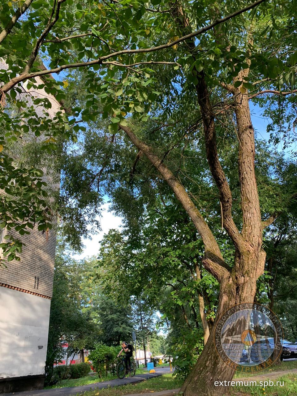 WhatsApp Image 2020-08-26 at 18.45.33.jpeg