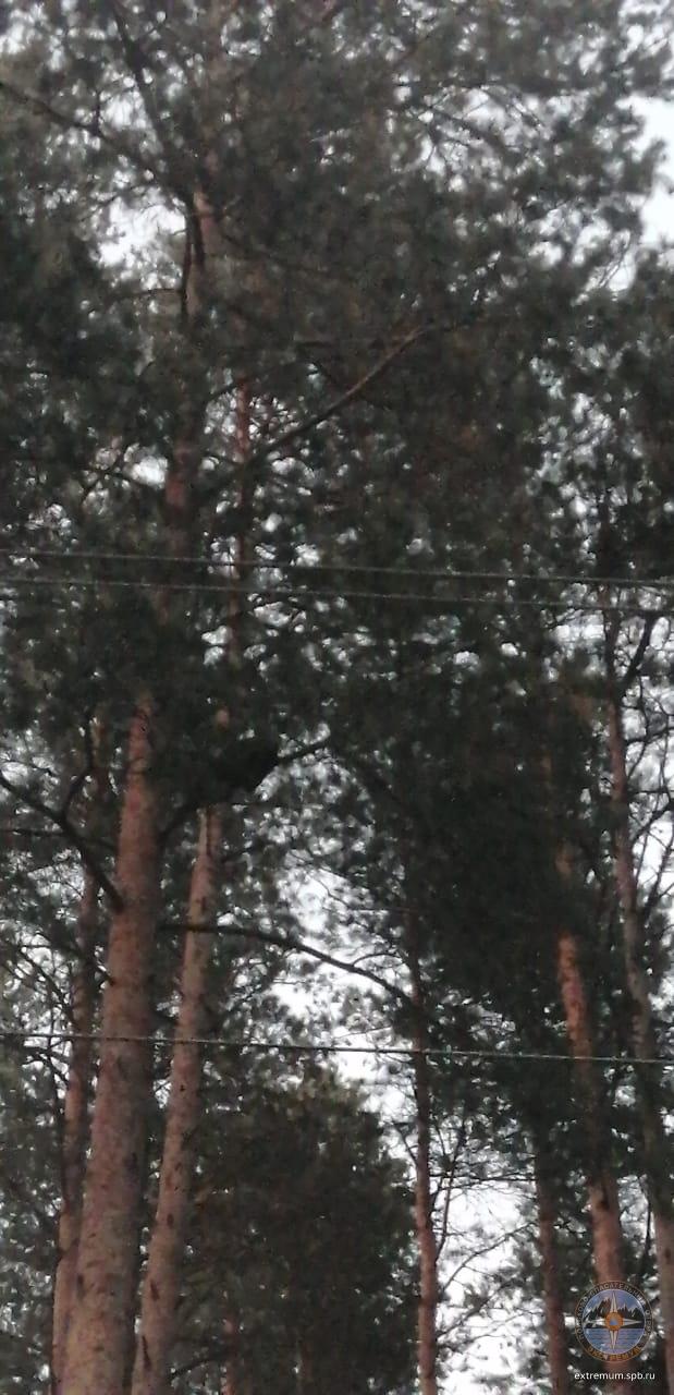 WhatsApp Image 2020-08-26 at 21.09.31.jpeg