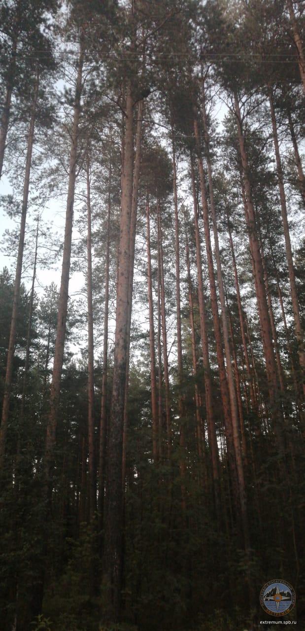 WhatsApp Image 2020-08-26 at 21.09.30.jpeg