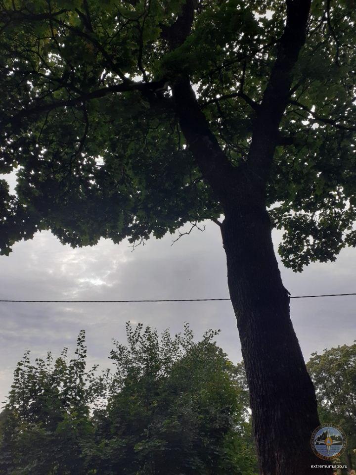 photo_2020-09-02_16-40-27 (2).jpg