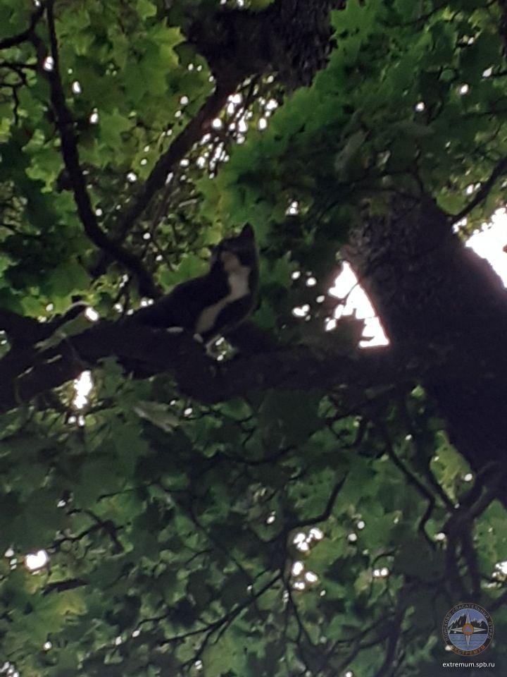 photo_2020-09-02_16-40-26 (2).jpg