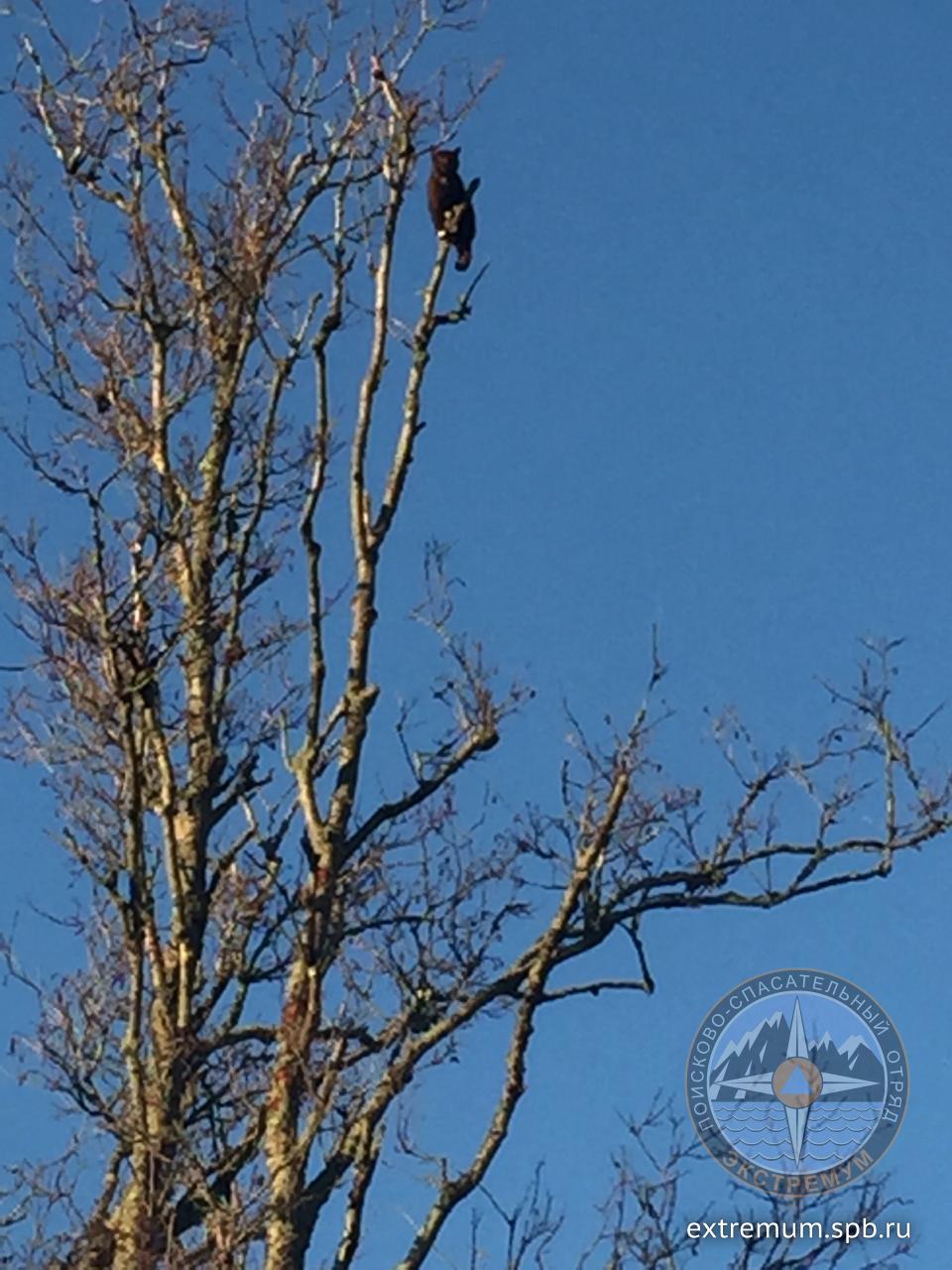 WhatsApp Image 2020-11-20 at 10.47.30.jpeg