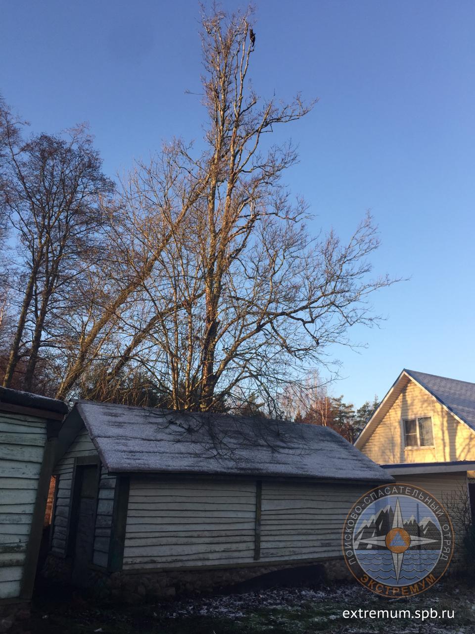 WhatsApp Image 2020-11-20 at 10.47.31.jpeg