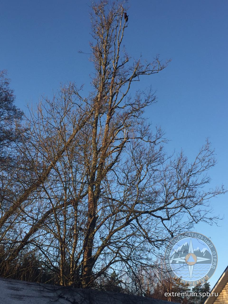 WhatsApp Image 2020-11-20 at 10.47.31 (1).jpeg