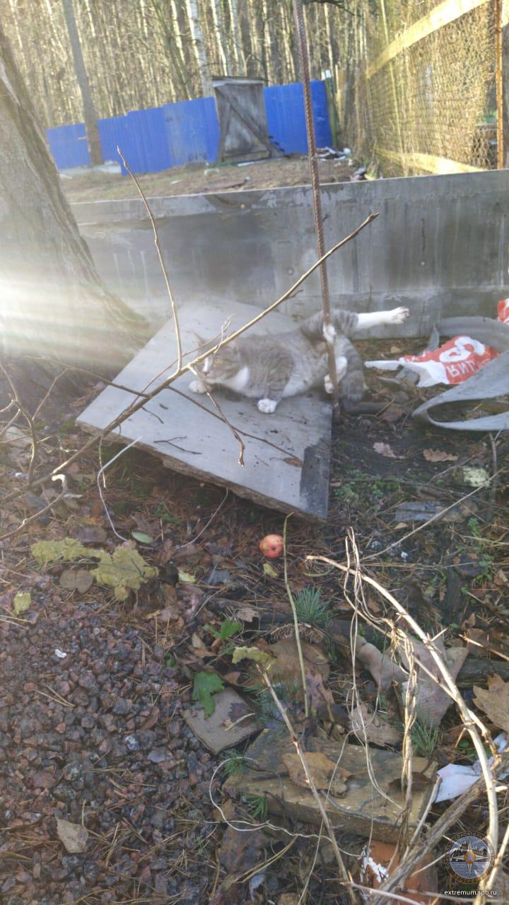 WhatsApp Image 2020-11-20 at 13.01.15.jpeg