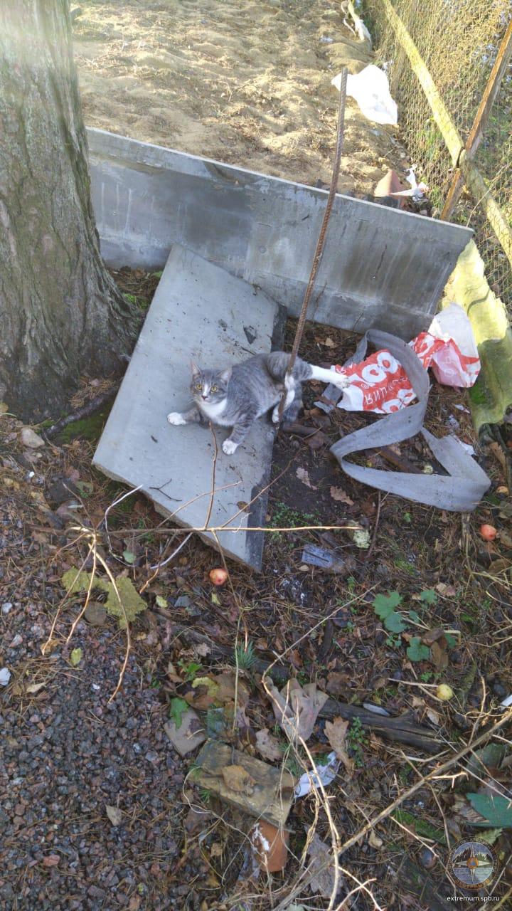 WhatsApp Image 2020-11-20 at 13.01.15 (1).jpeg